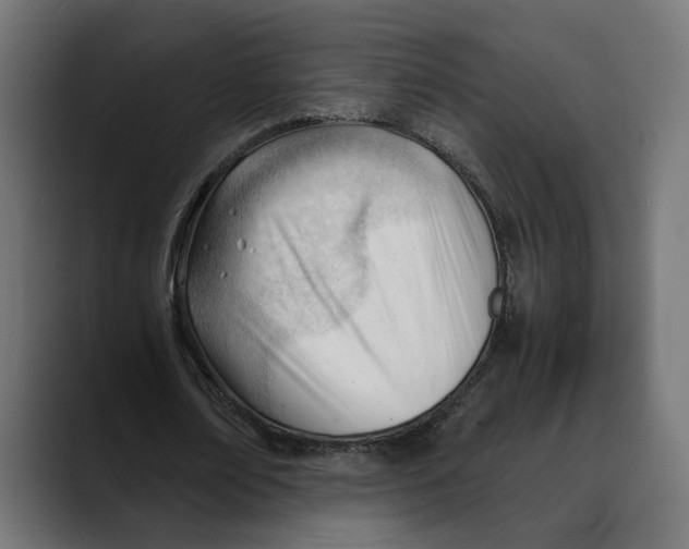 X0000088910674200707061346