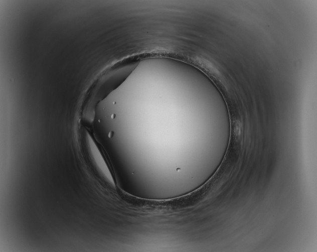 X0000088910676200707061346