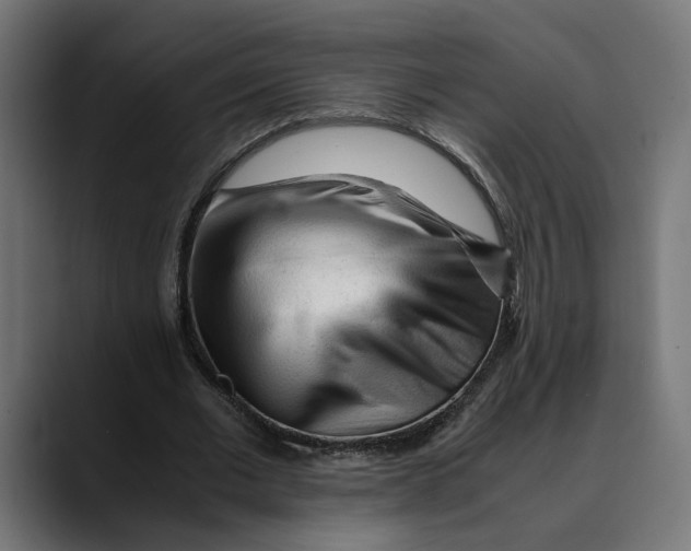 X0000088910677200707061346