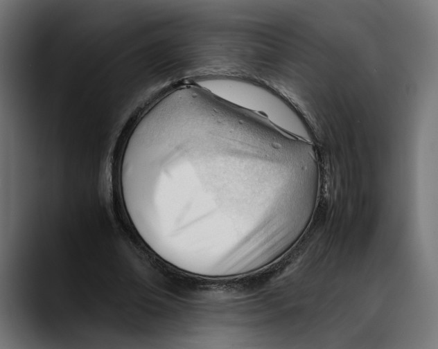 X0000088910678200707061346