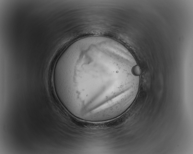 X0000088910679200707061346