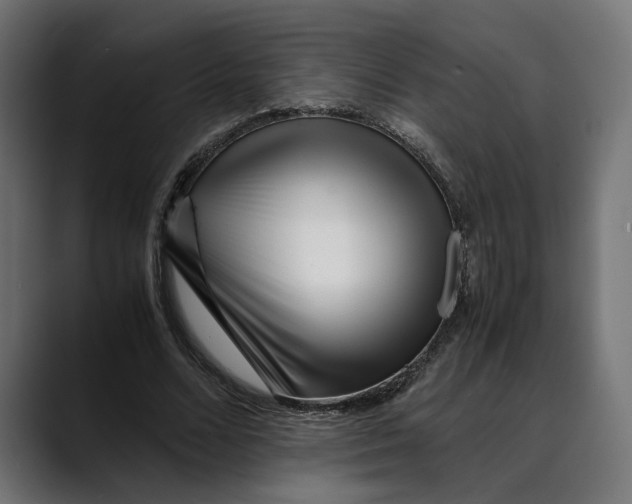 X0000088910680200707061346