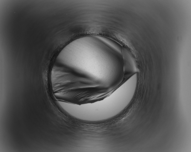 X0000088910681200707061346