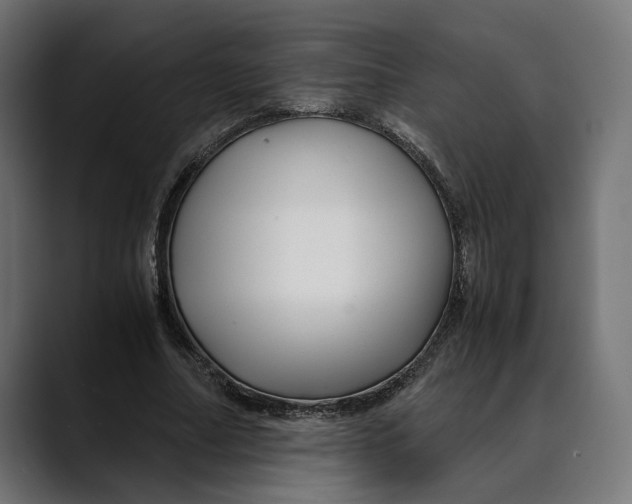 X0000088910682200707061346