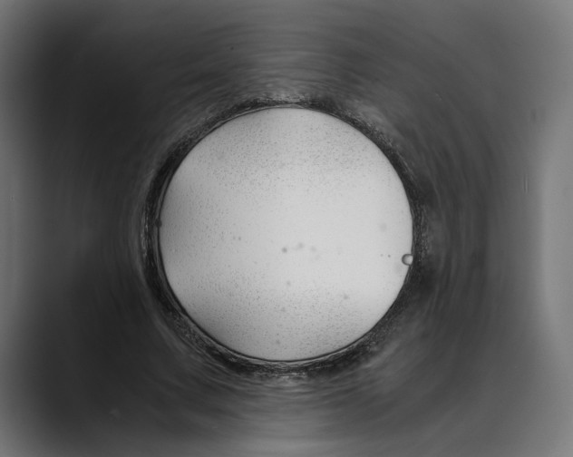 X0000088910683200707061346