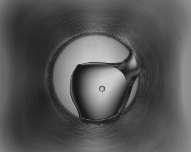 X0000088910684200707061346