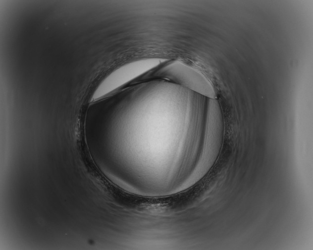 X0000088910689200707061346