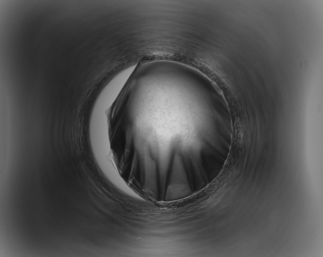 X0000088910692200707061346