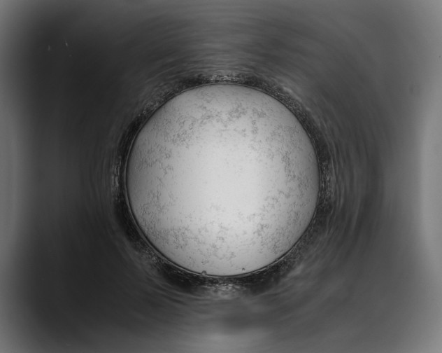 X0000088910695200707061345