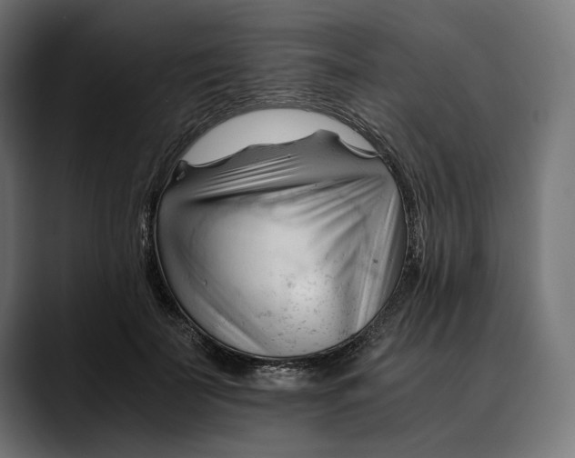 X0000088910699200707061345