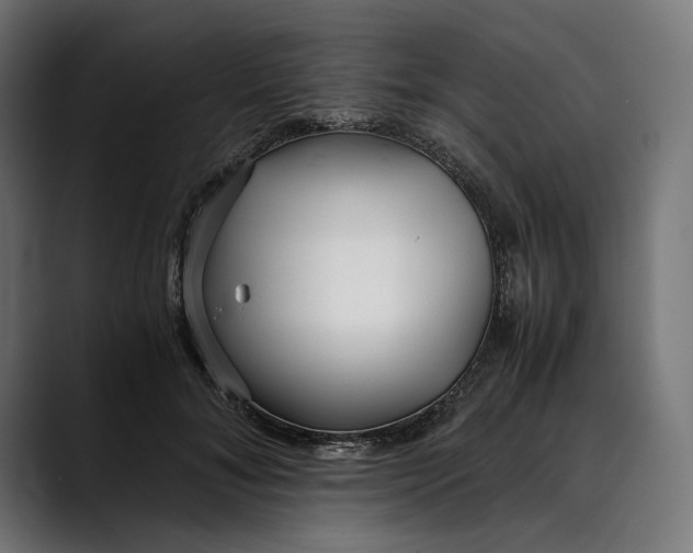 X0000088910700200707061345