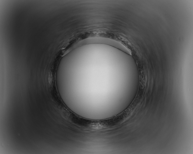 X0000088910704200707061345