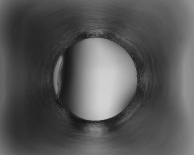 X0000088910708200707061345