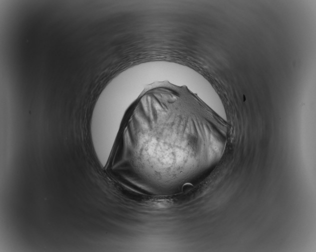 X0000088910711200707061345