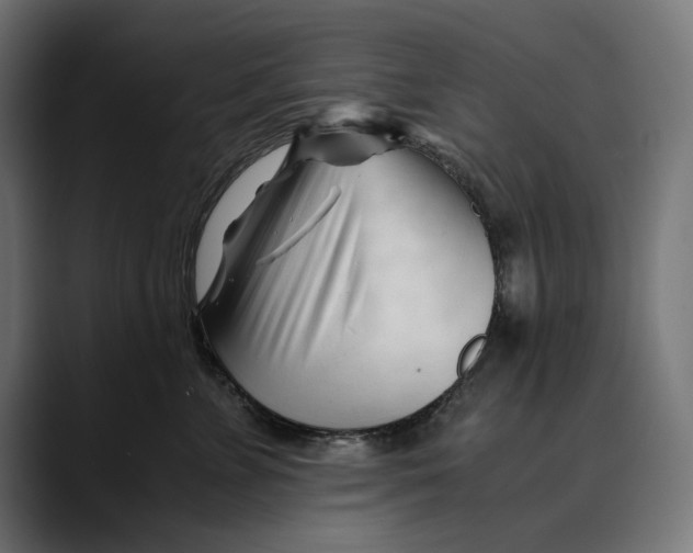 X0000088910715200707061345