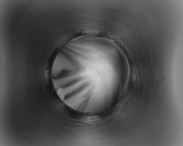 X0000088910716200707061345