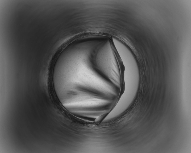 X0000088910724200707061345