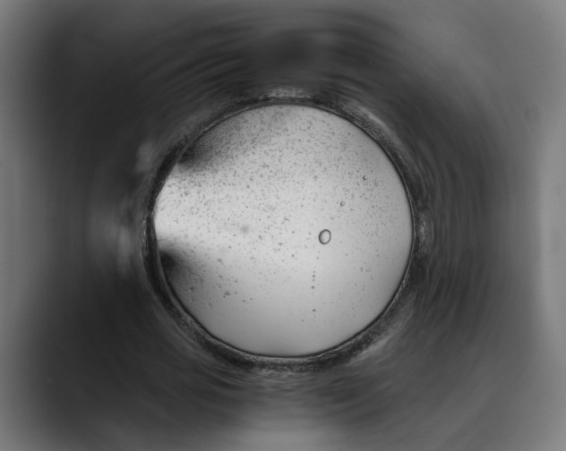 X0000088910725200707061345