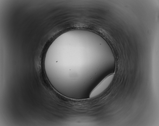 X0000088910727200707061345