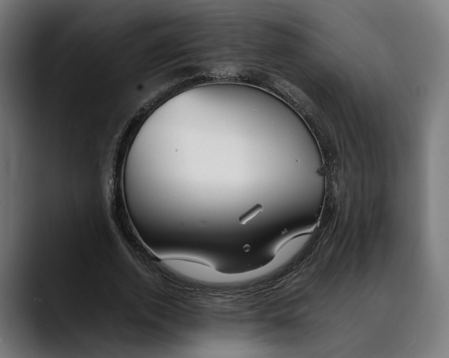 X0000088910728200707061345