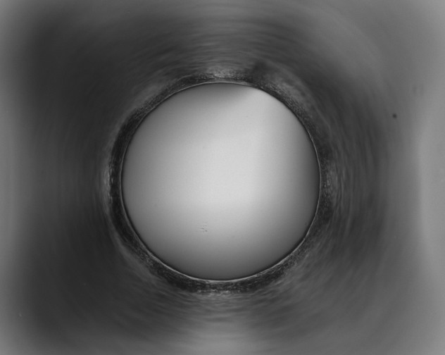 X0000088910730200707061345