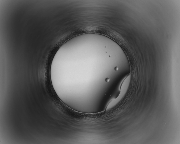 X0000088910732200707061345