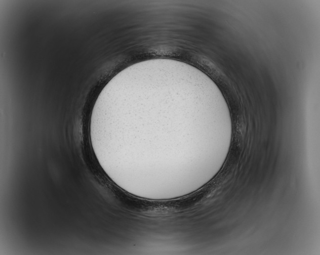 X0000088910734200707061345