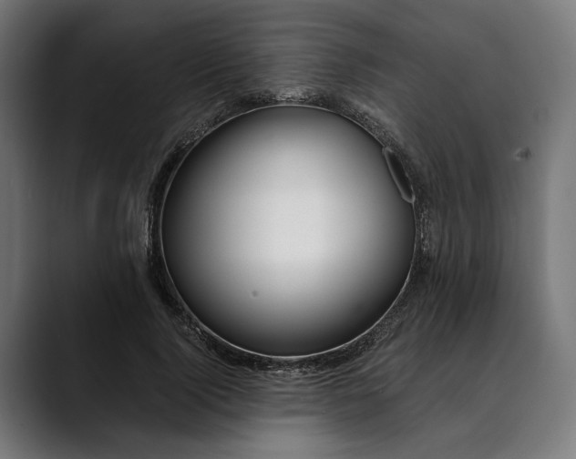 X0000088910740200707061345