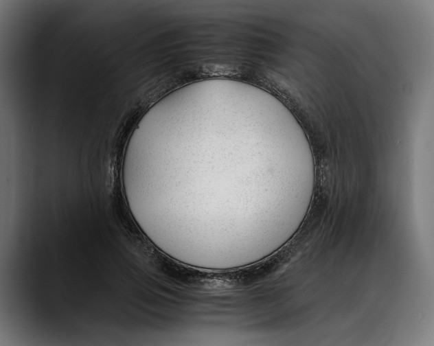 X0000088910741200707061345