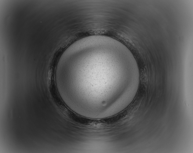 X0000088910742200707061345