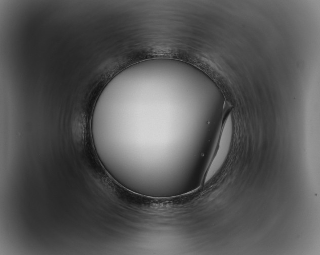 X0000088910744200707061345