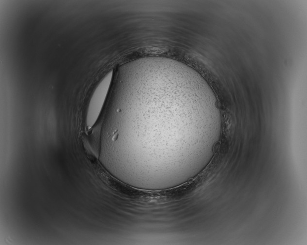 X0000088910745200707061345