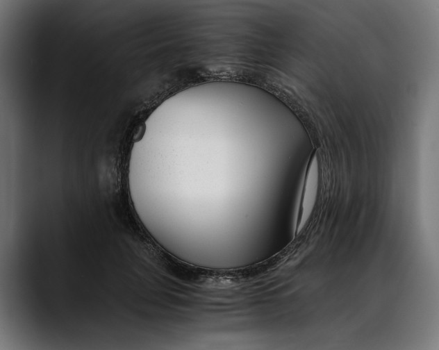 X0000088910751200707061345