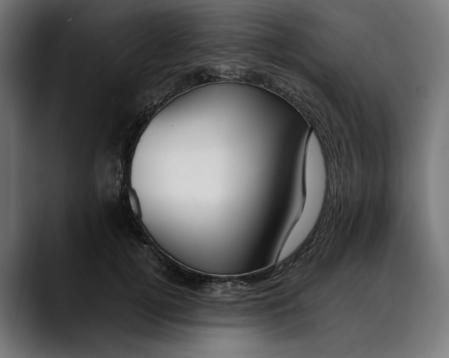 X0000088910752200707061345