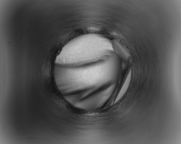 X0000088910760200707061345