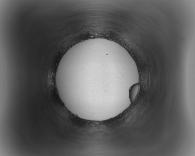 X0000088910770200707061345