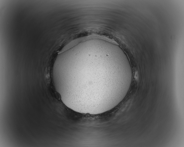 X0000088910771200707061345