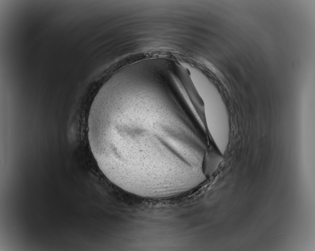 X0000088910775200707061345