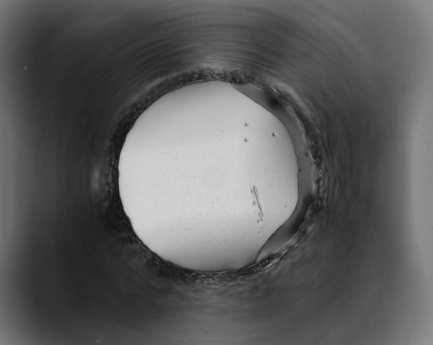 X0000088910776200707061345