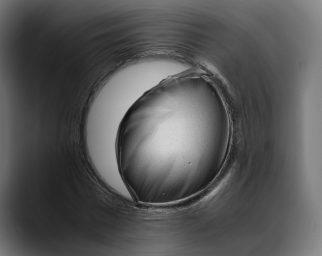 X0000088910777200707061345