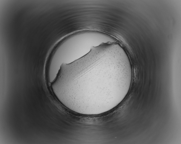 X0000088910780200707061345