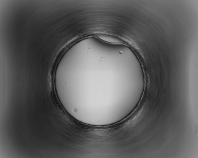 X0000088910782200707061344