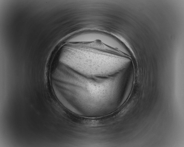 X0000088910783200707061344