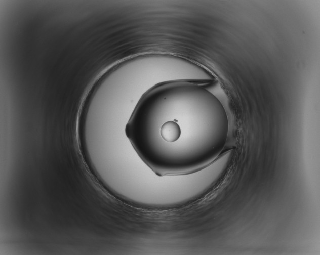 X0000088910788200707061344