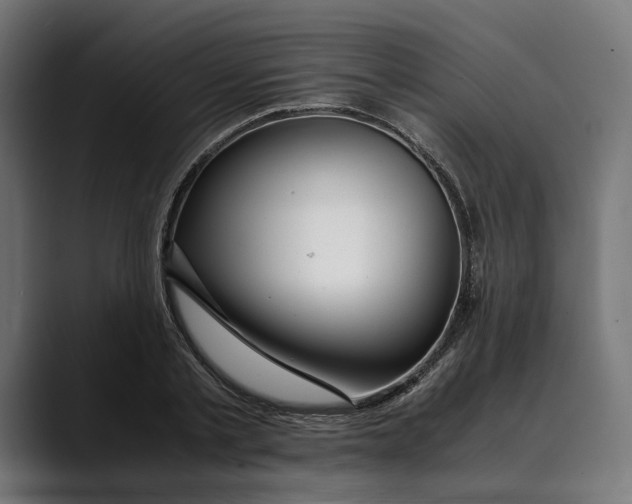 X0000088910789200707061344