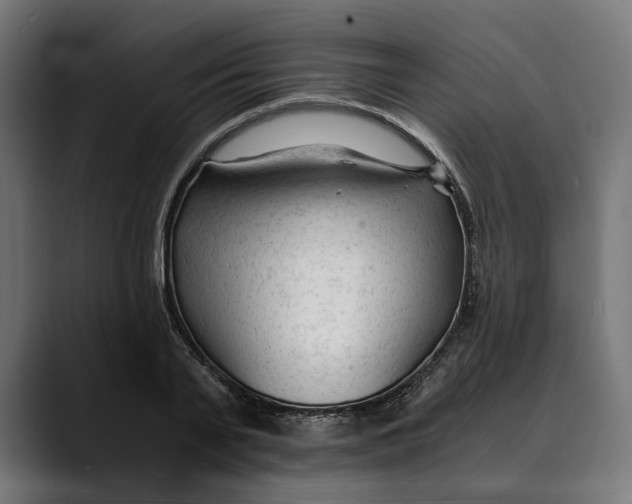 X0000088910791200707061344