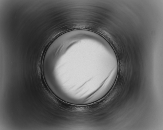 X0000088910794200707061344