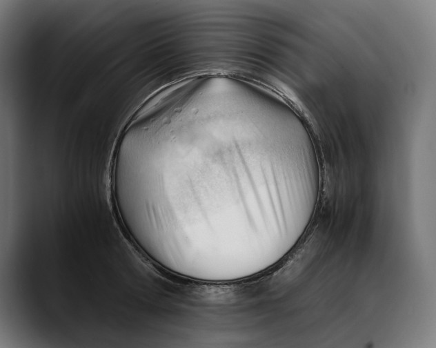 X0000088910802200707061344