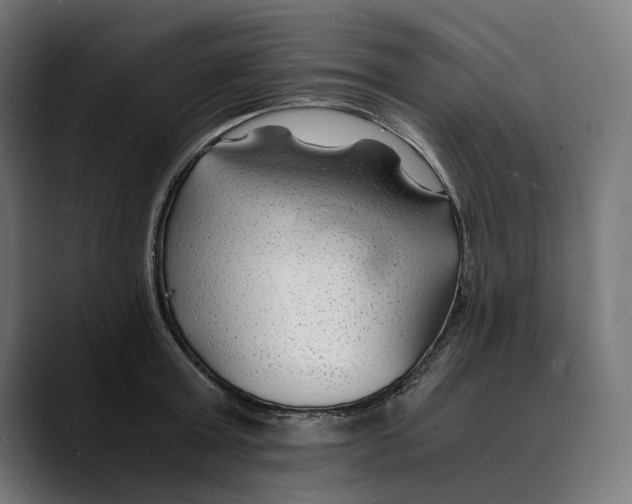 X0000088910803200707061344