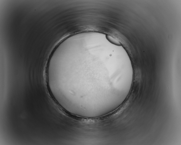 X0000088910806200707061344